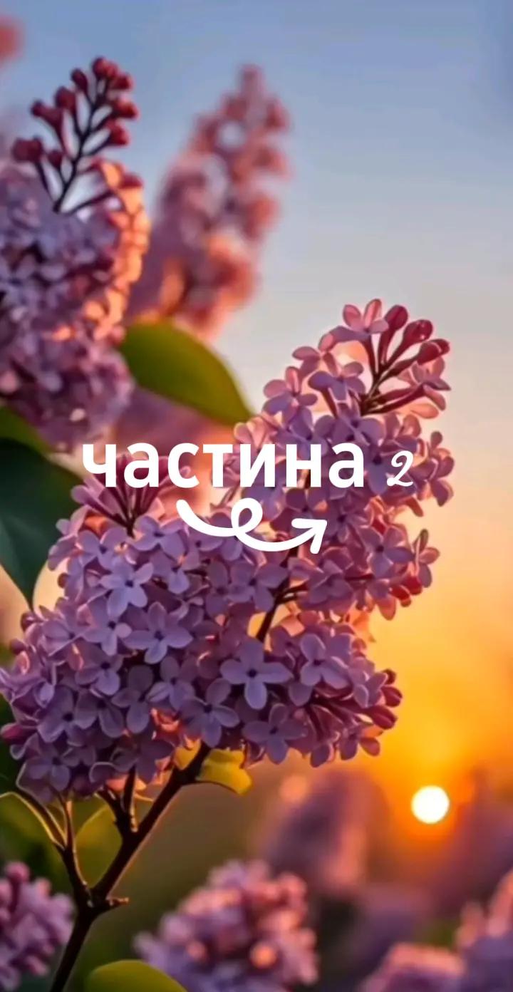@Життєві історії