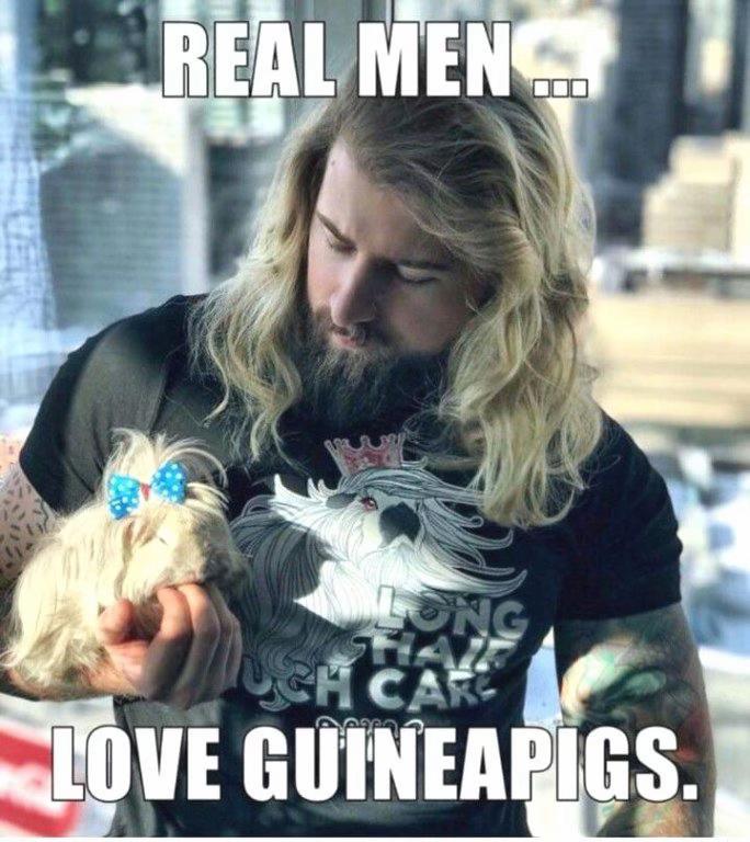 @chudangel