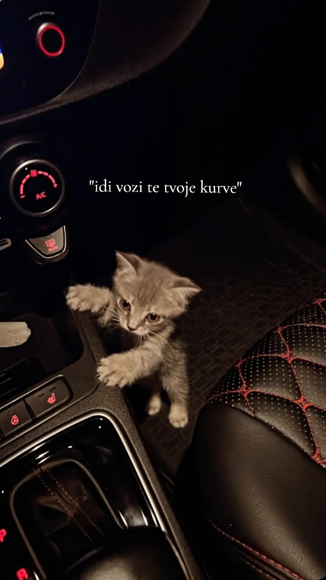 @_јасмин_