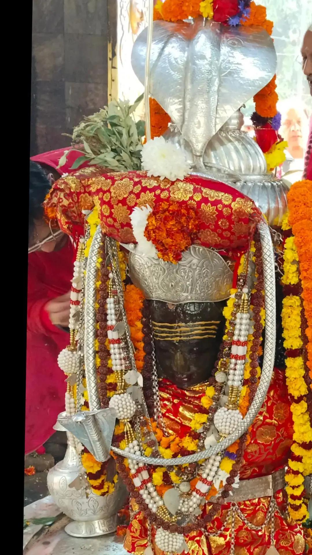 @Renu Mandal845