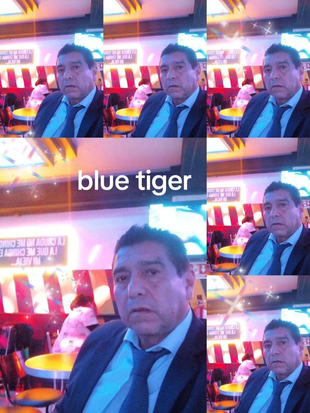 @bluetiger