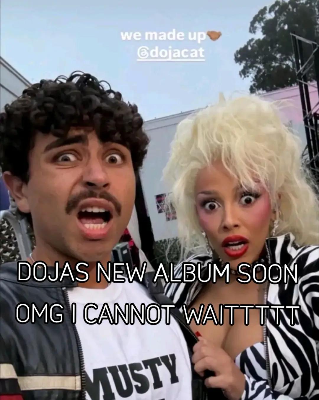 @brawlcatt