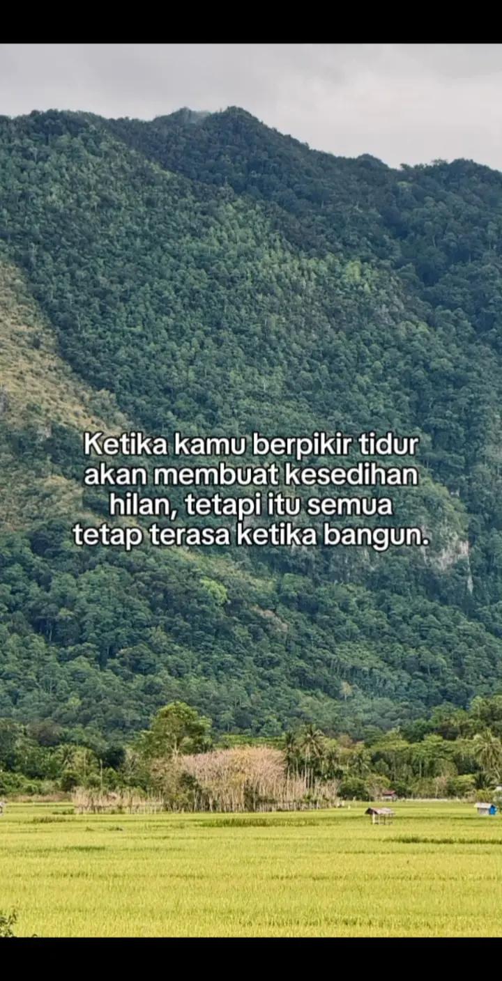 @H A N⚡