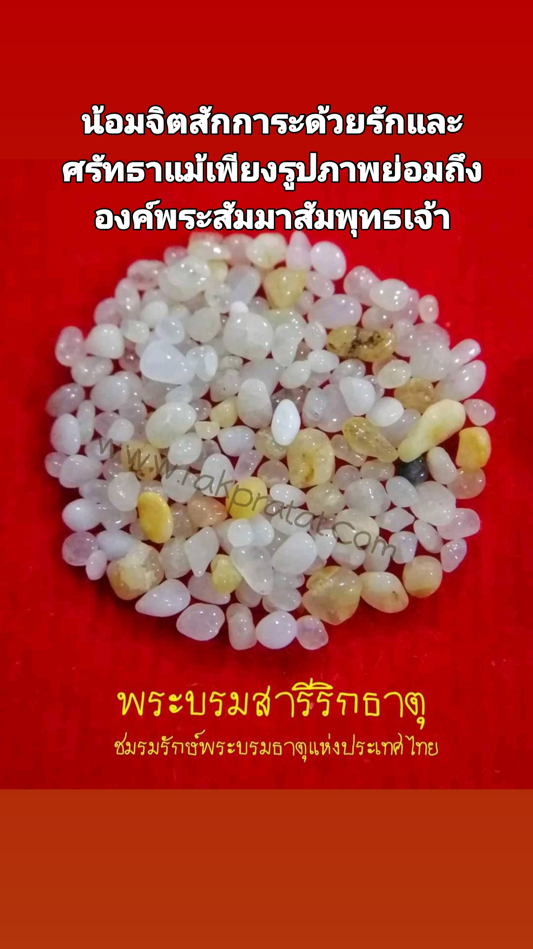 @ชมรมรักษ์พระบรมธาตุฯ