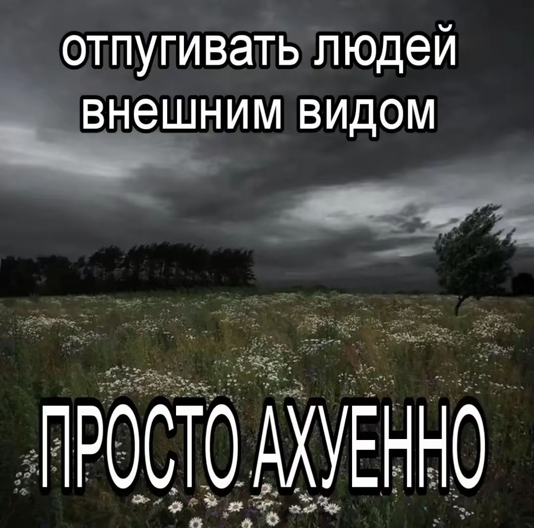@kto takie neforы