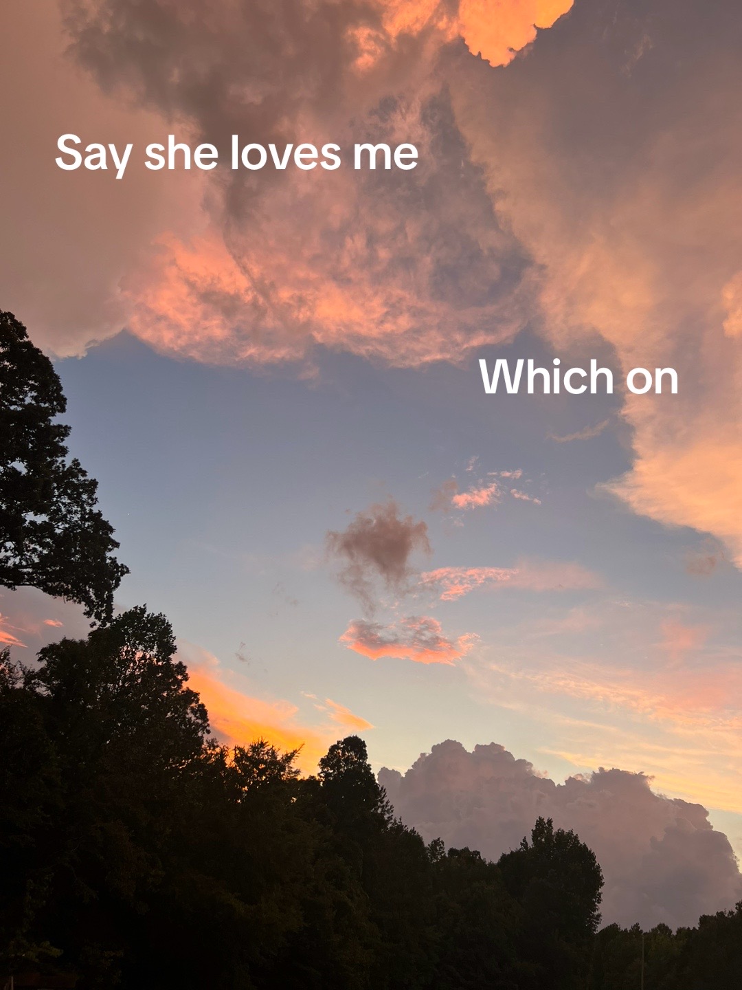 @21_savgesssss_