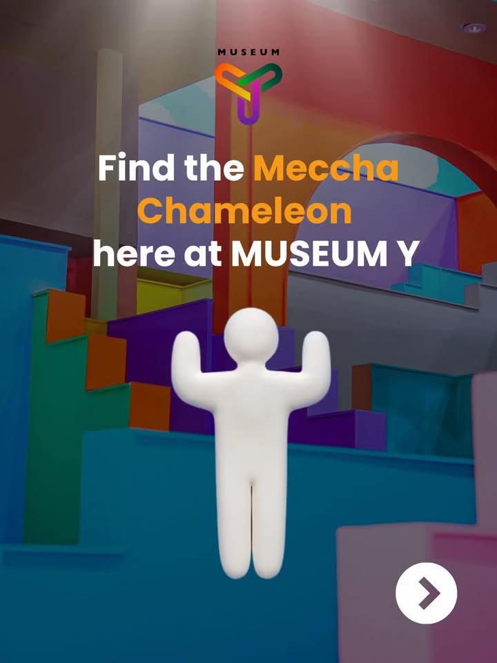 @Museum Y