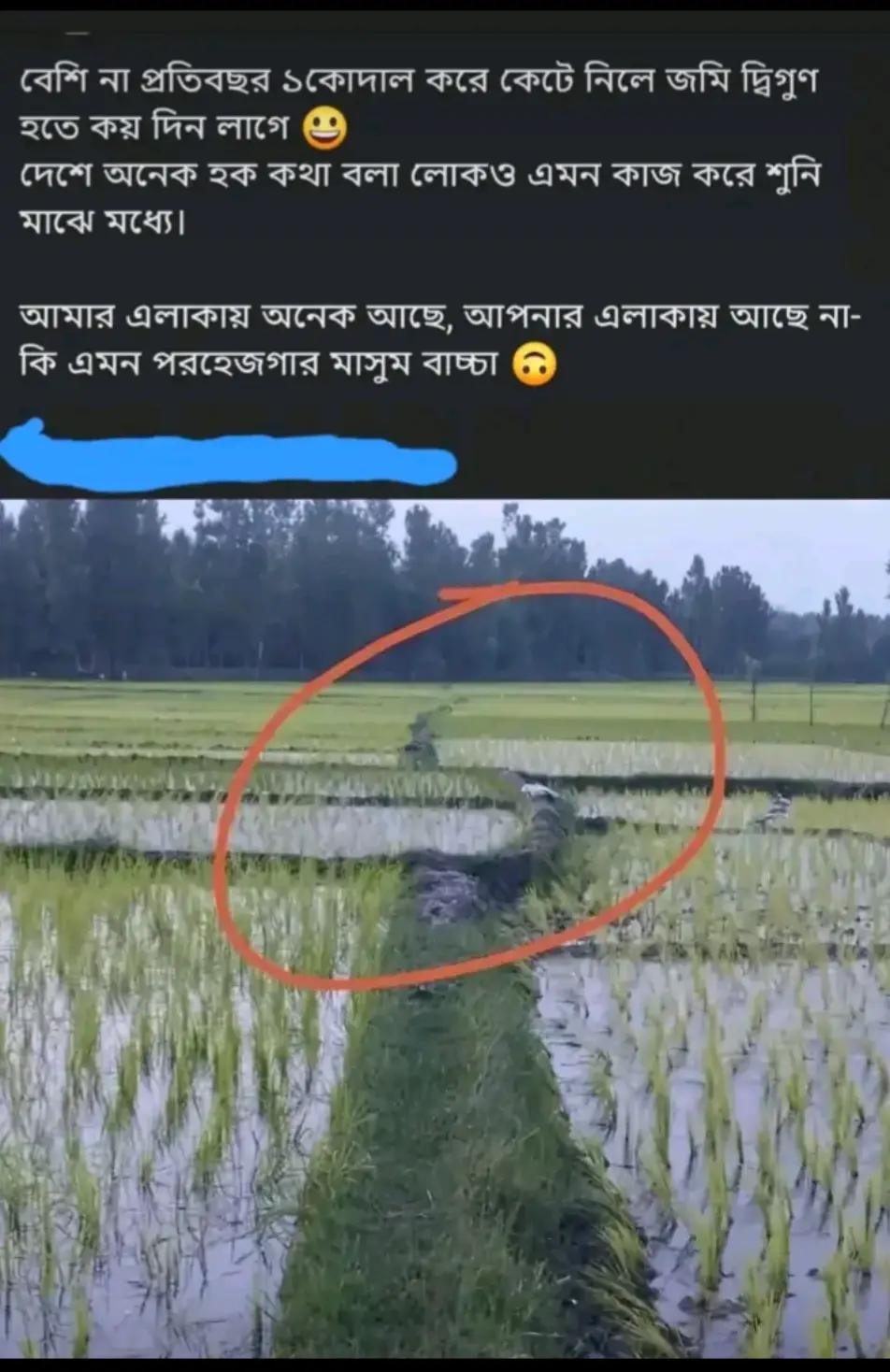 @আব্দুল গফুর