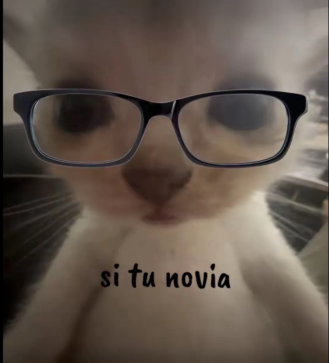 @Josselin