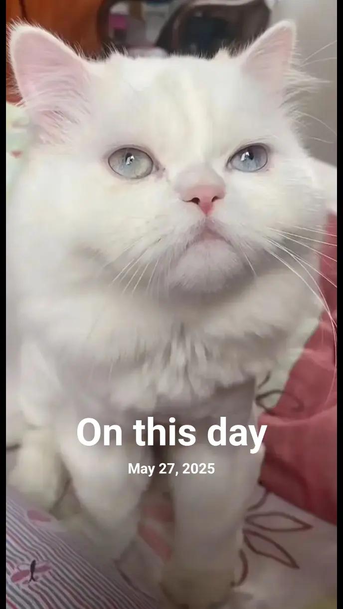 @arslanjan808