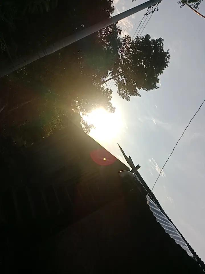 @eliana