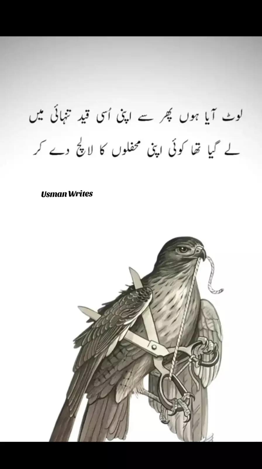 @Usman