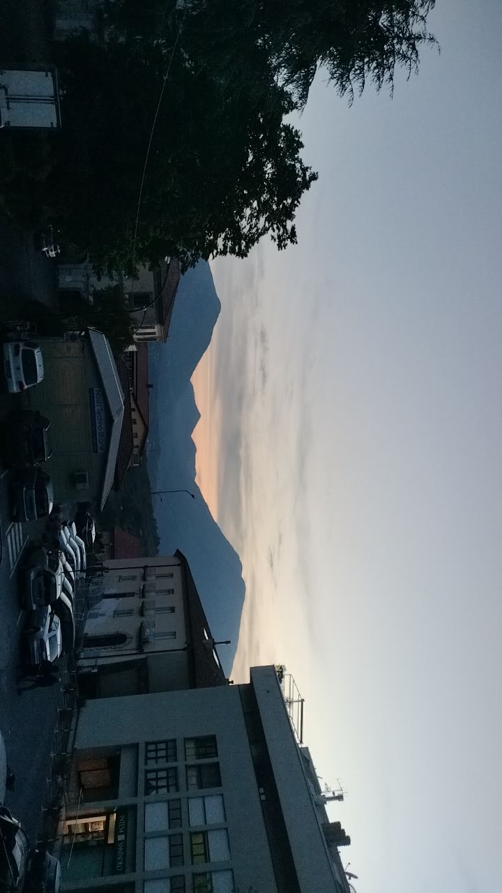 @dominisia mastroianni