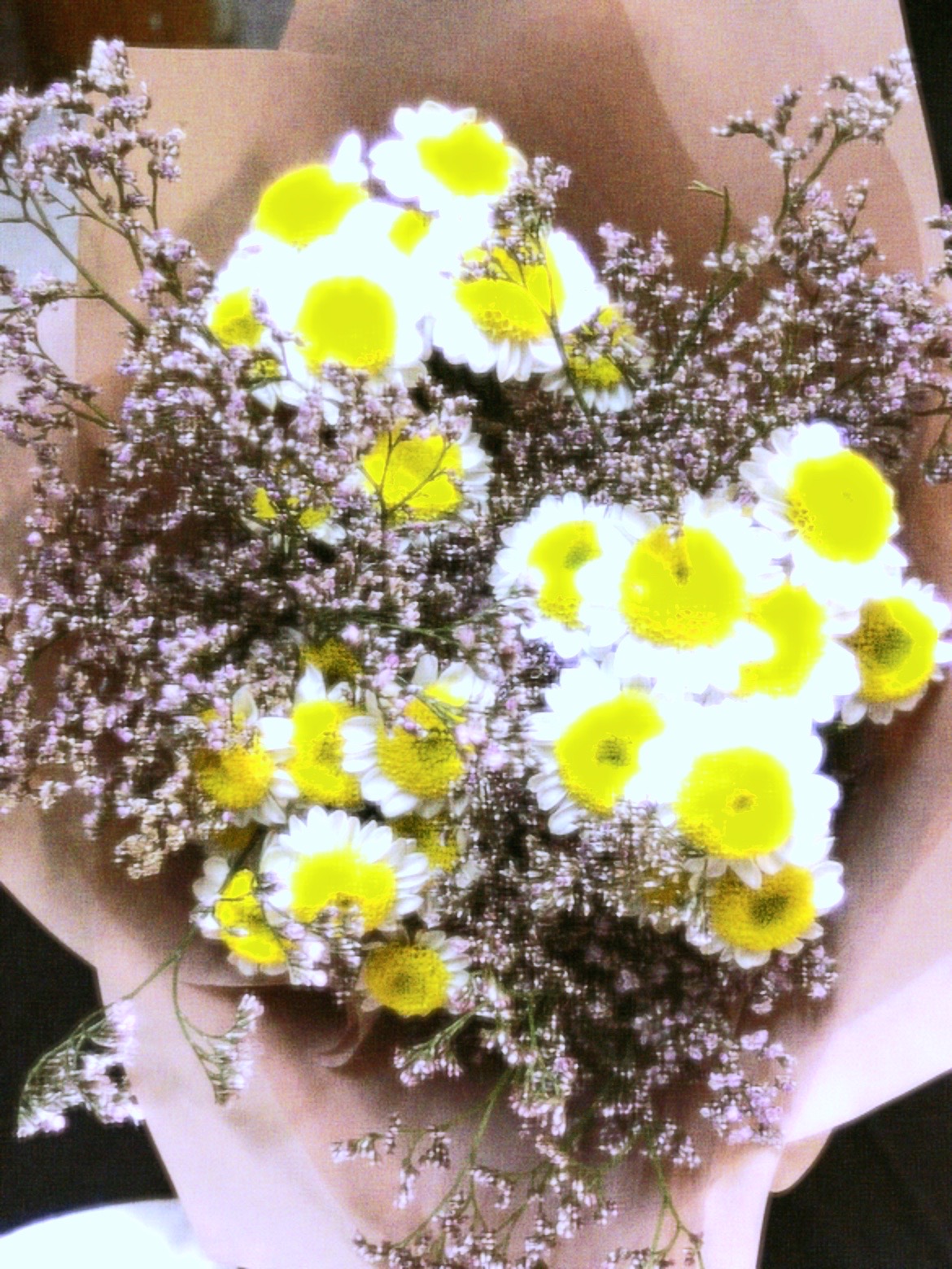@وفاء الحارثي❣️