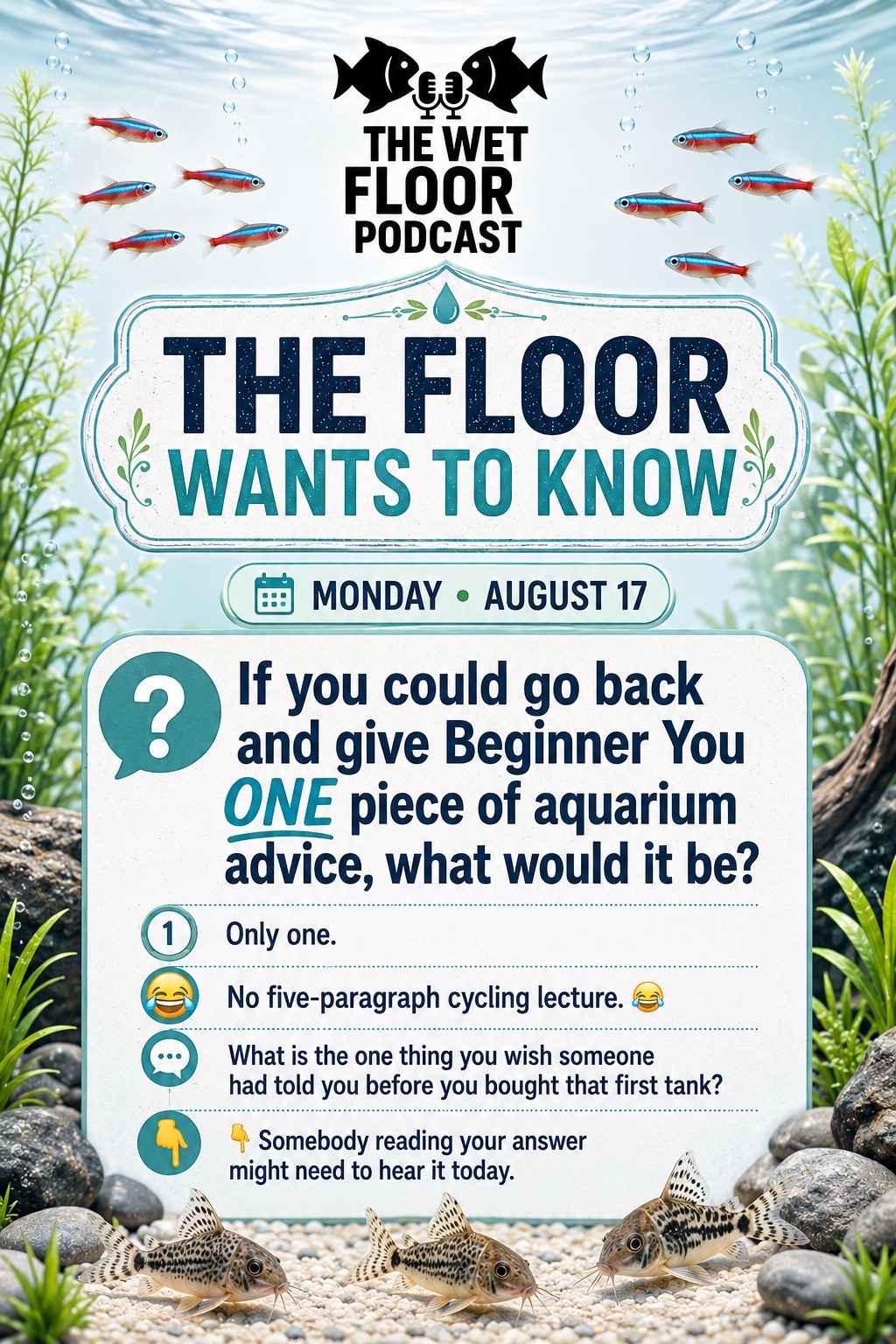 @aquaintuitions