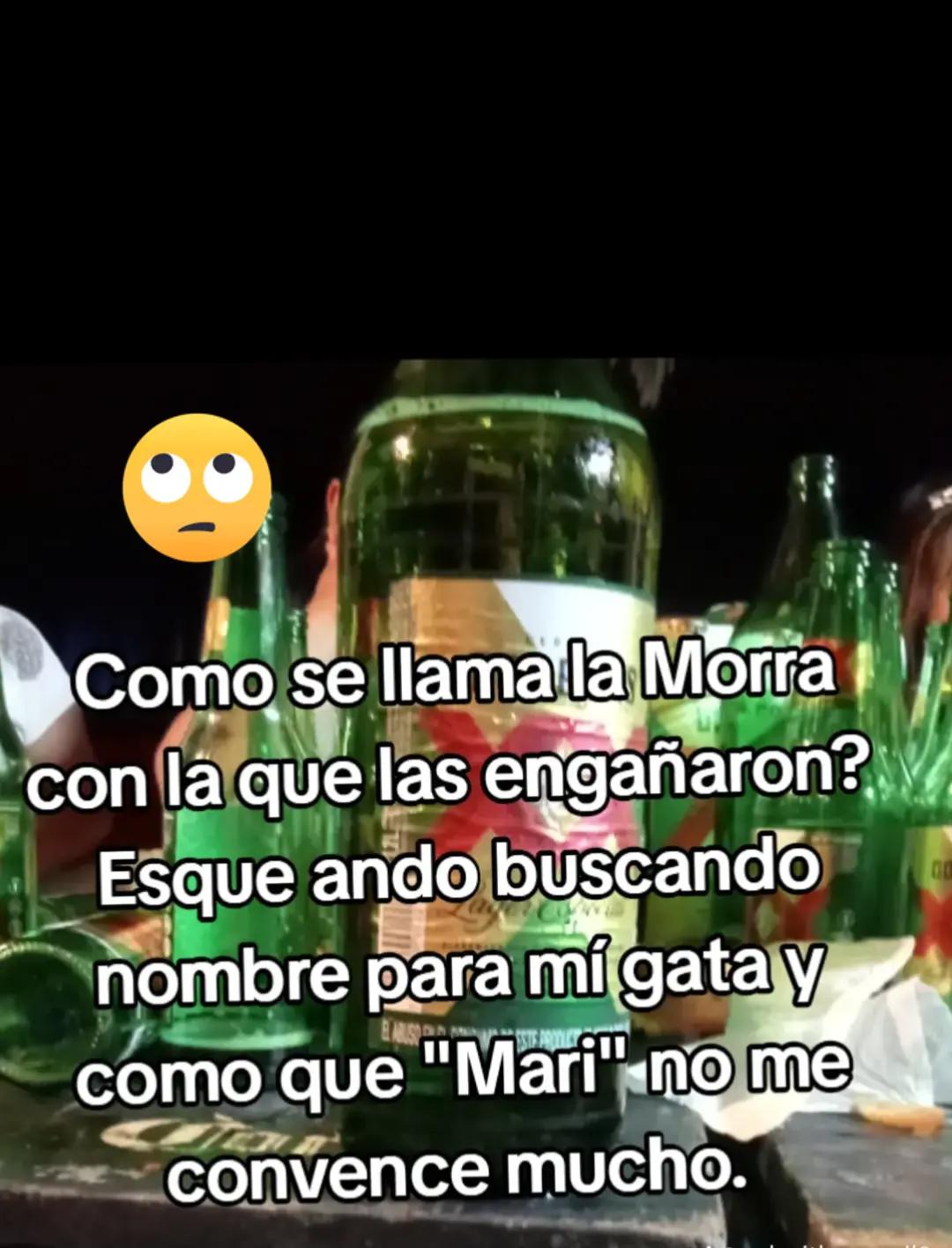 @🫀Chispita🧠 Alegre 💥