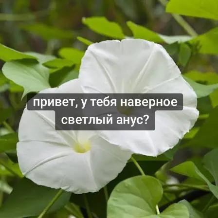 @Арсений🎀