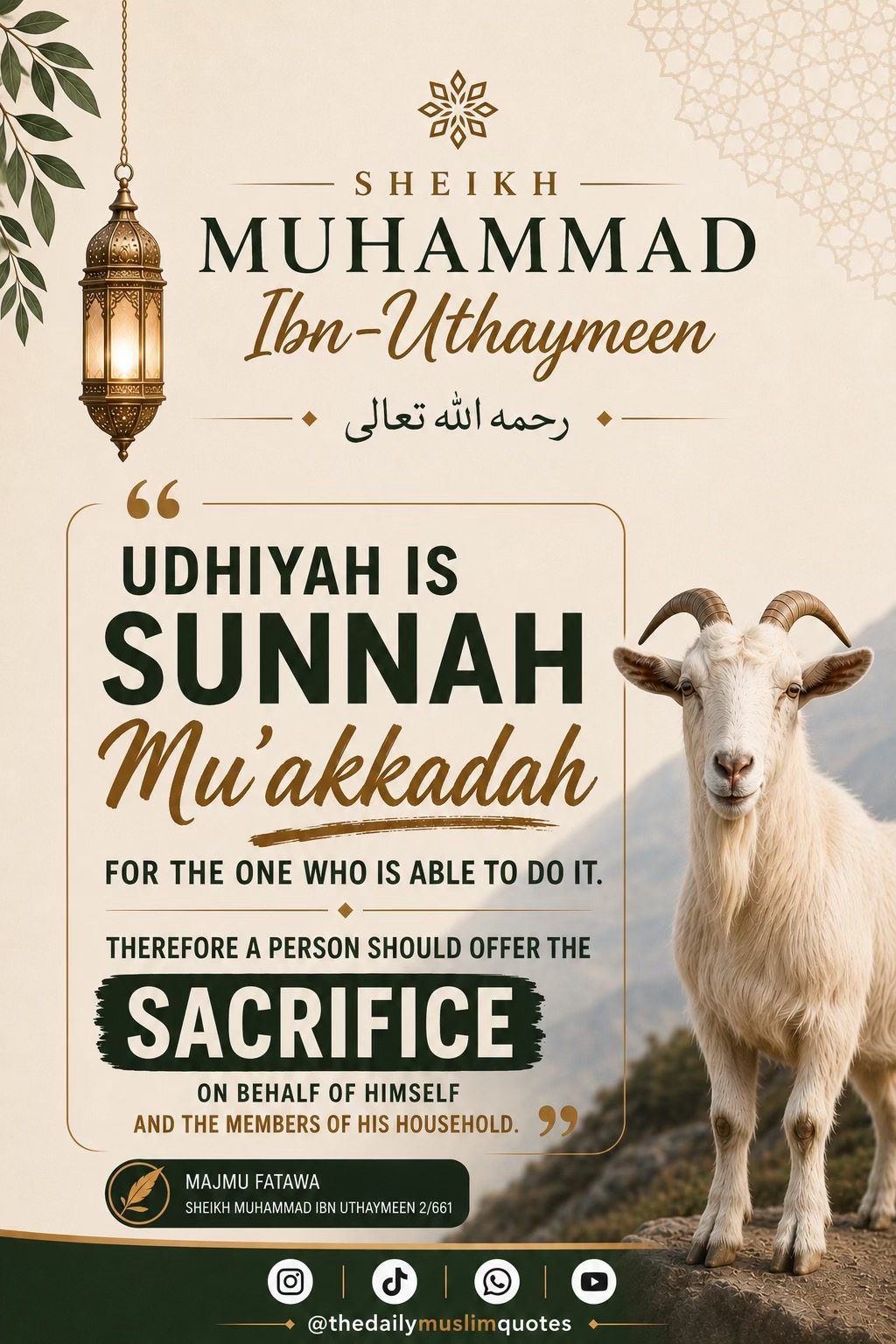 @thedailymuslimquotes