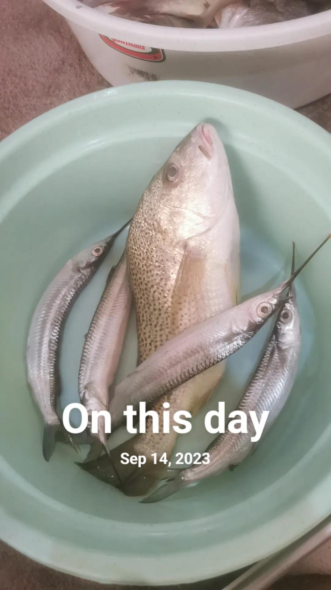 @ঘুমন্ত শহর