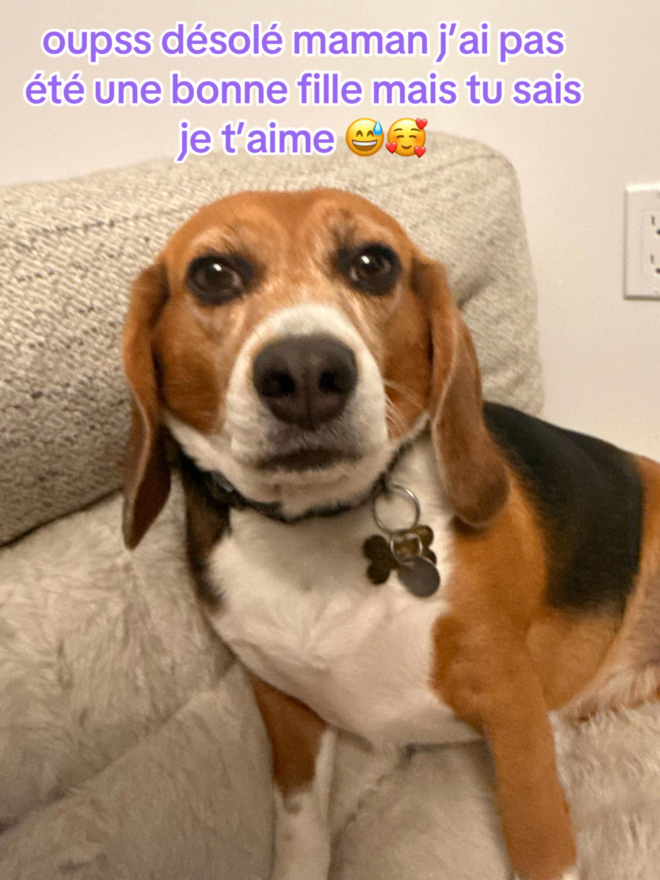 @miss.pulpeuse