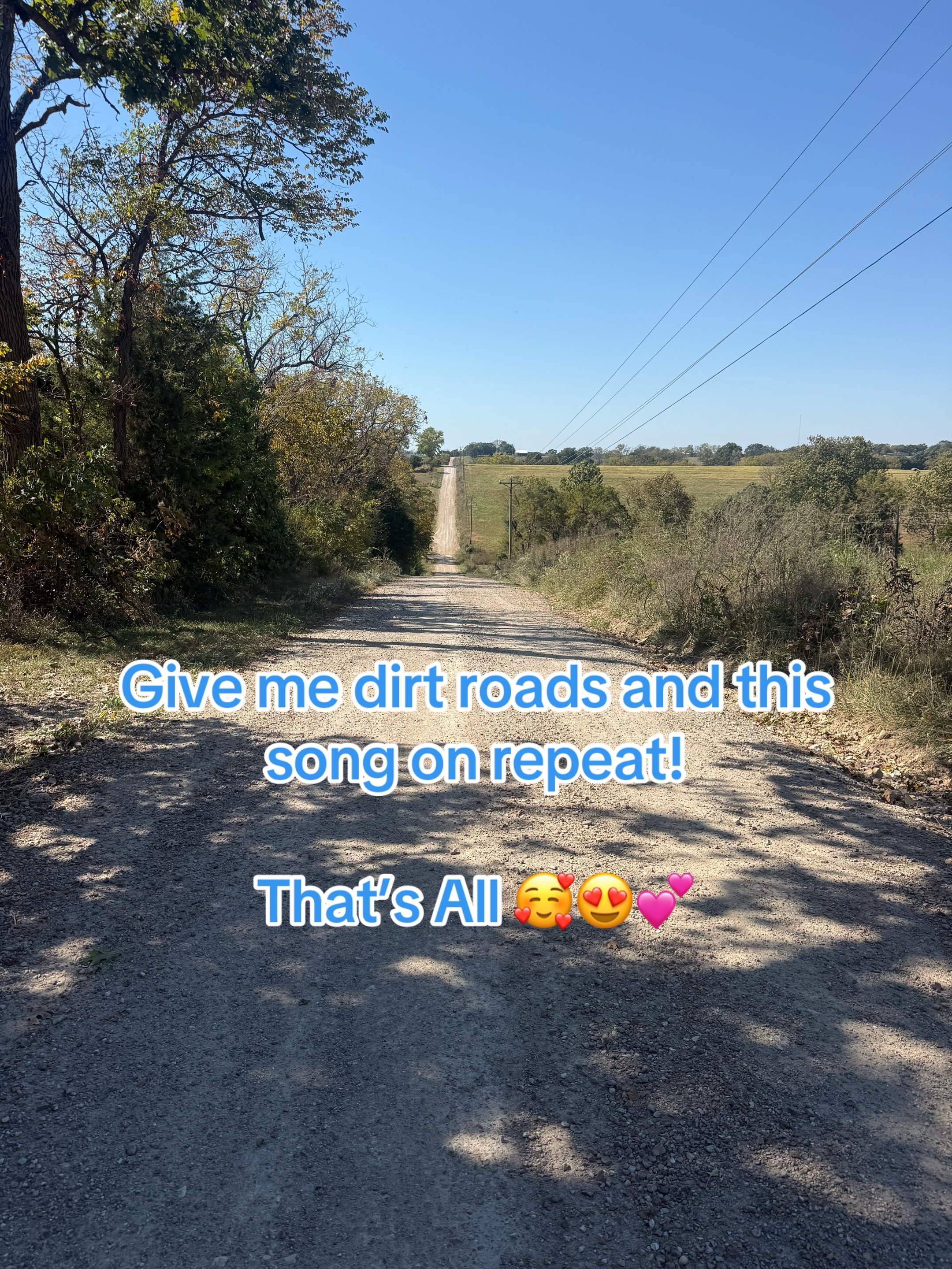 @ashley_bird42862020