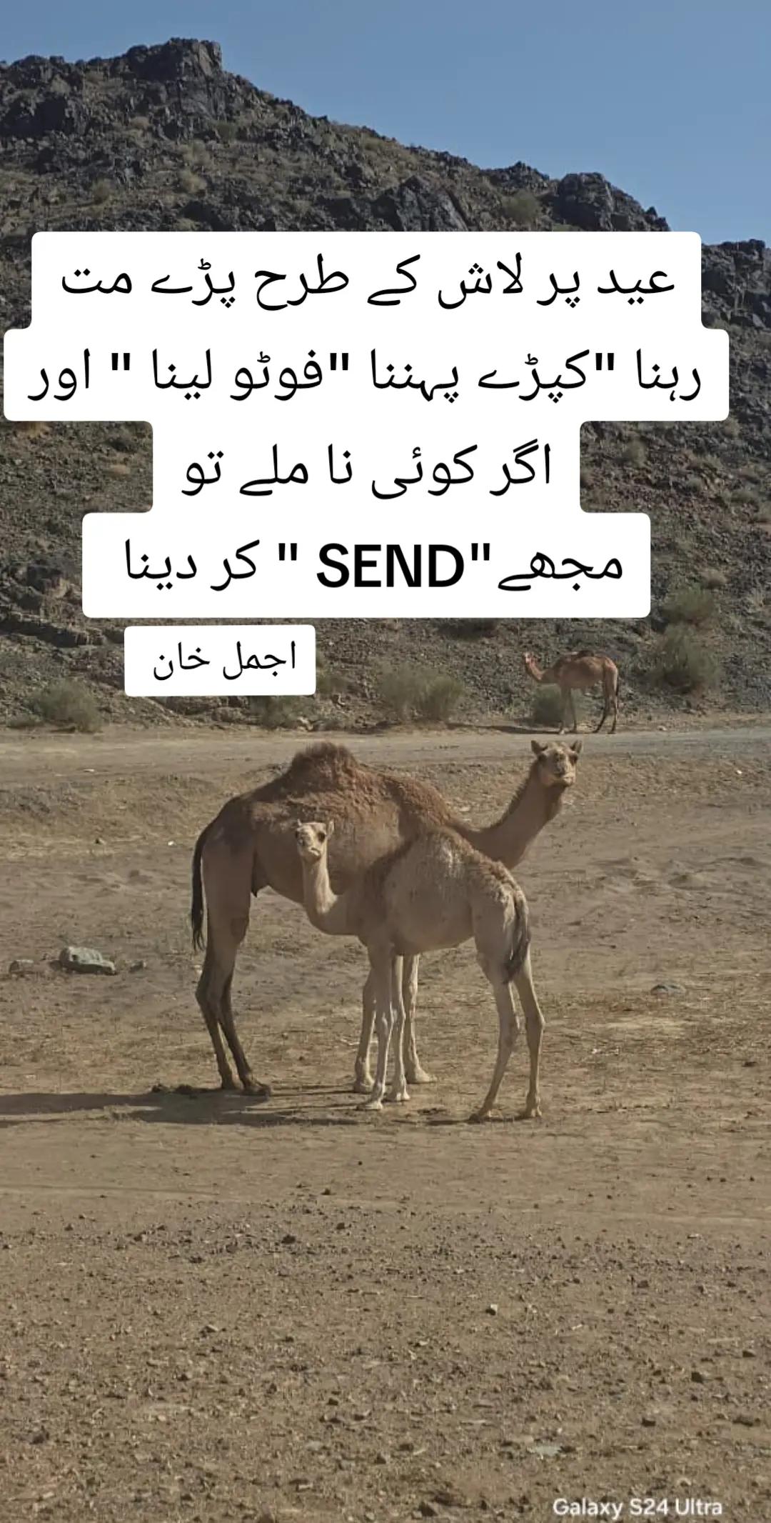 @Muhammad Ajmal
