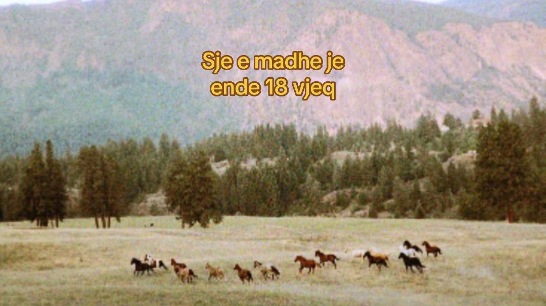 @Harpedit
