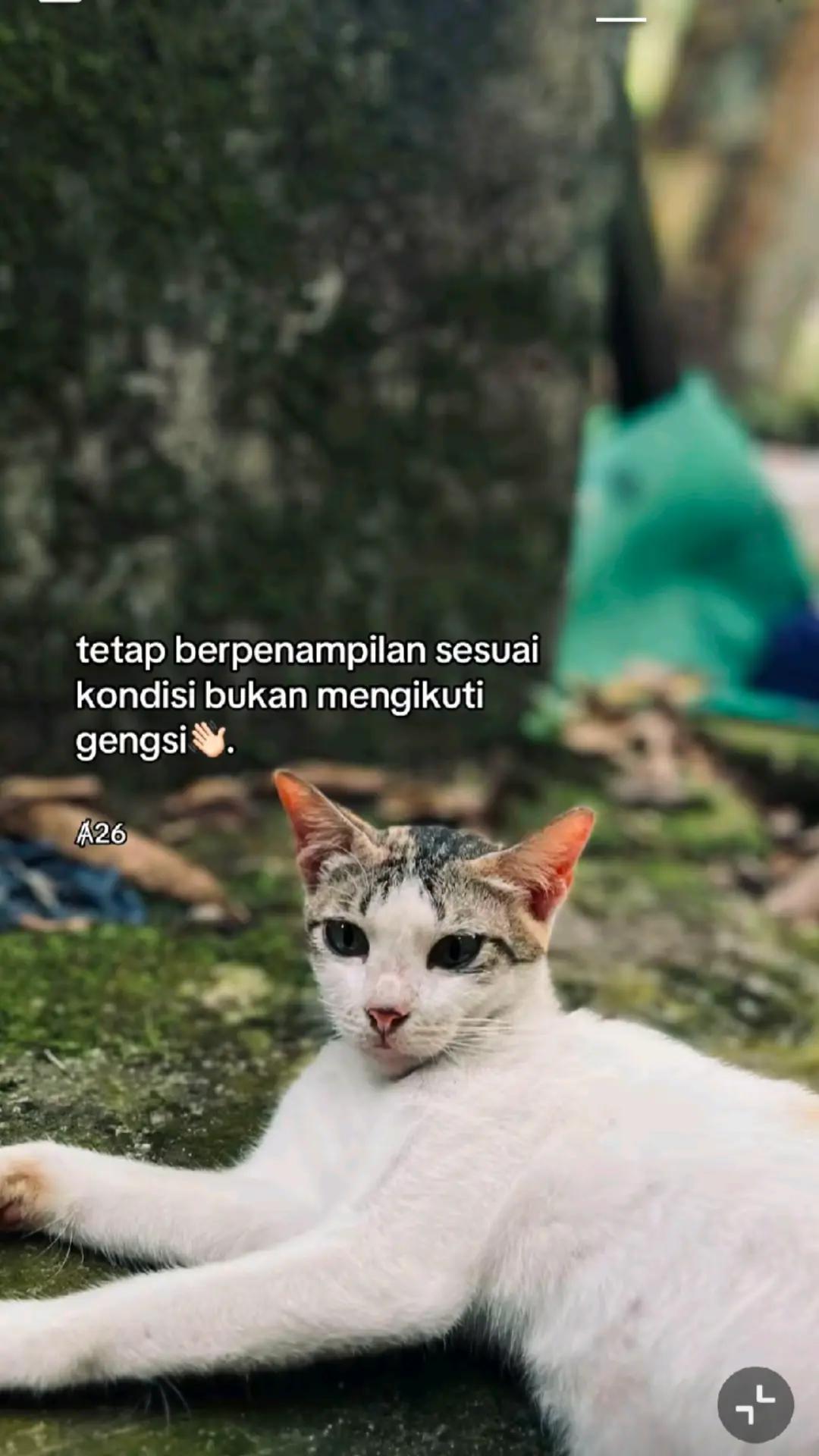 @Dea samson