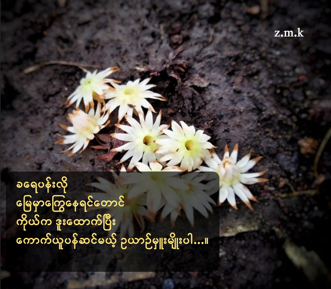 @Zin Min Khant