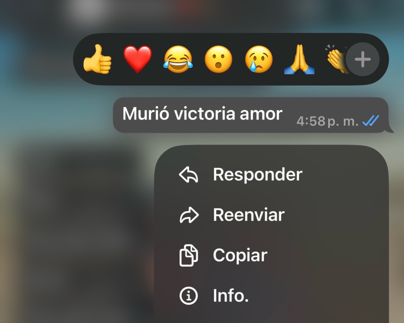@🌸🧸 Mayte 🧸🌸