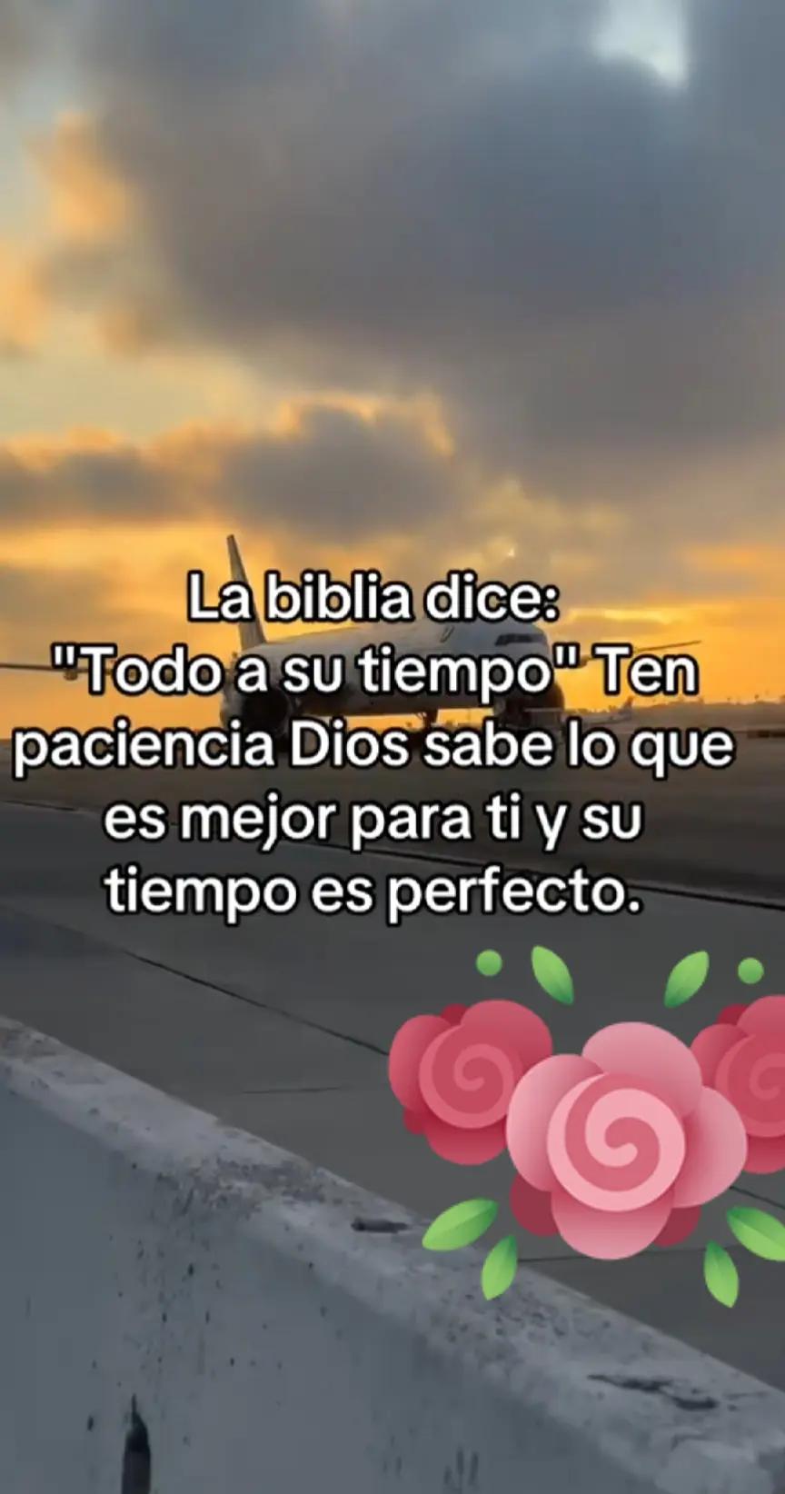 @Silvia