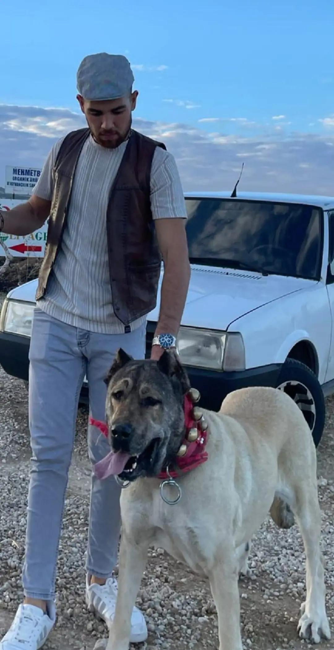@Tevfik Erol