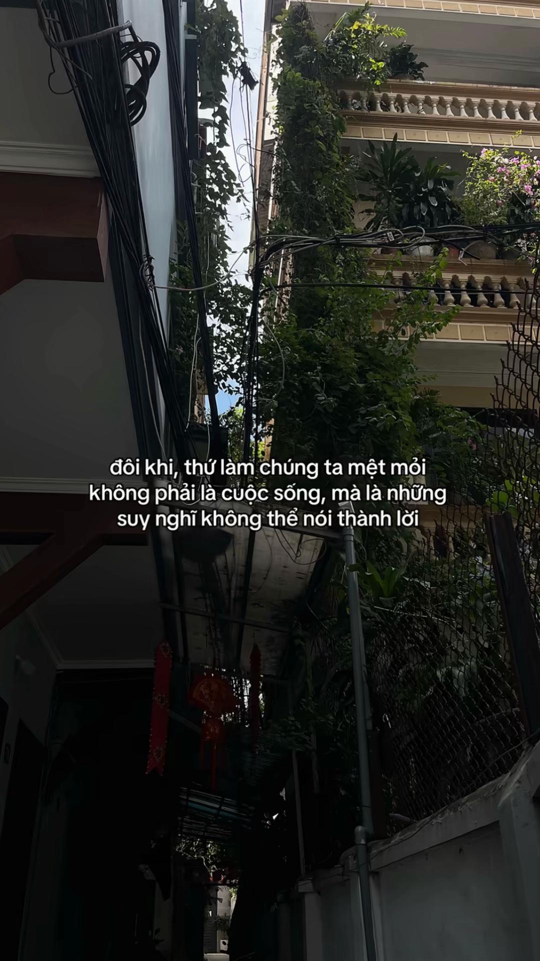 @𝙉𝙜𝙫𝙪𝙤𝙣𝙜𝙝𝙖𝙮𝙨𝙪𝙮💝