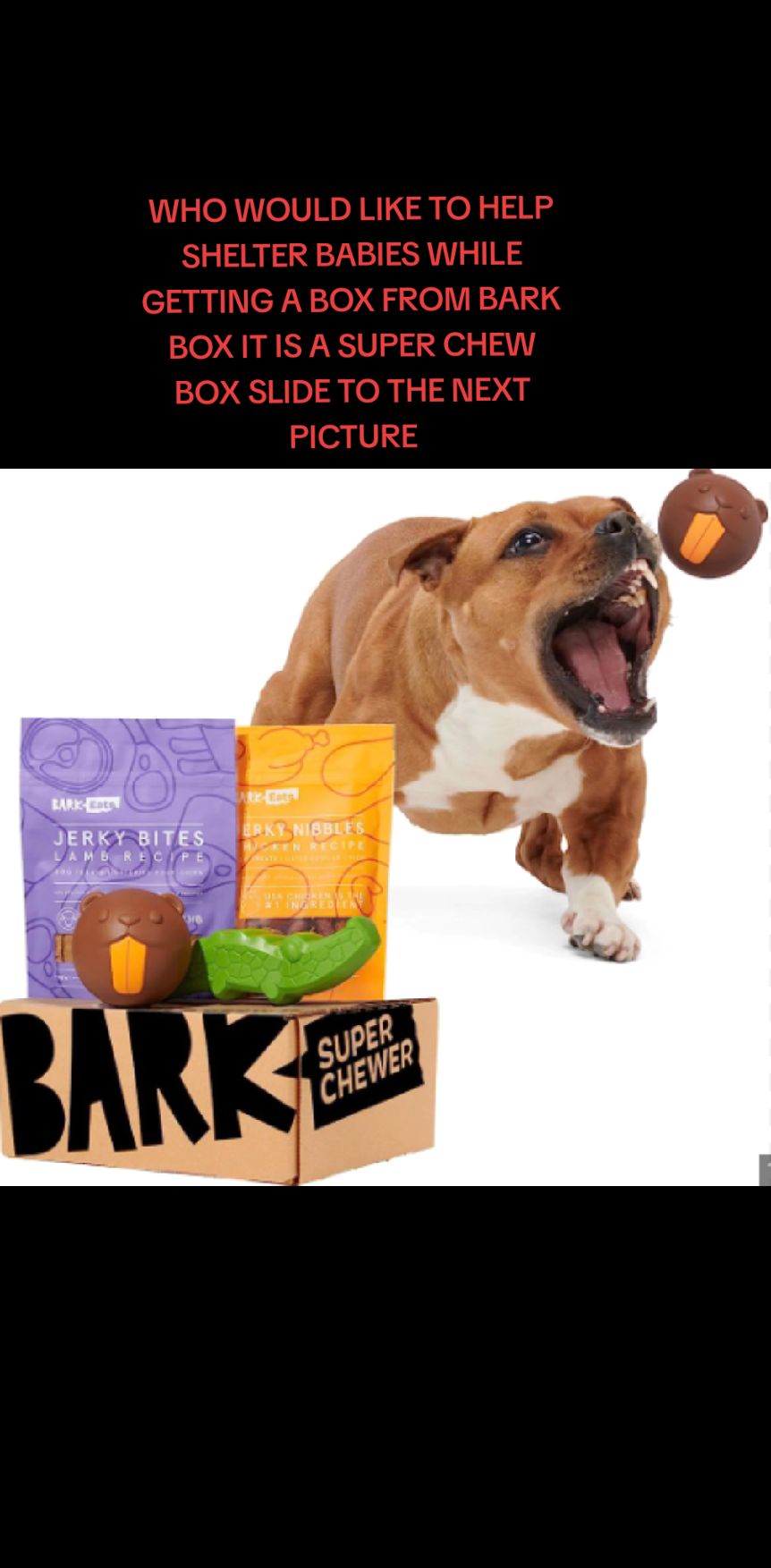 @dachshundclowning