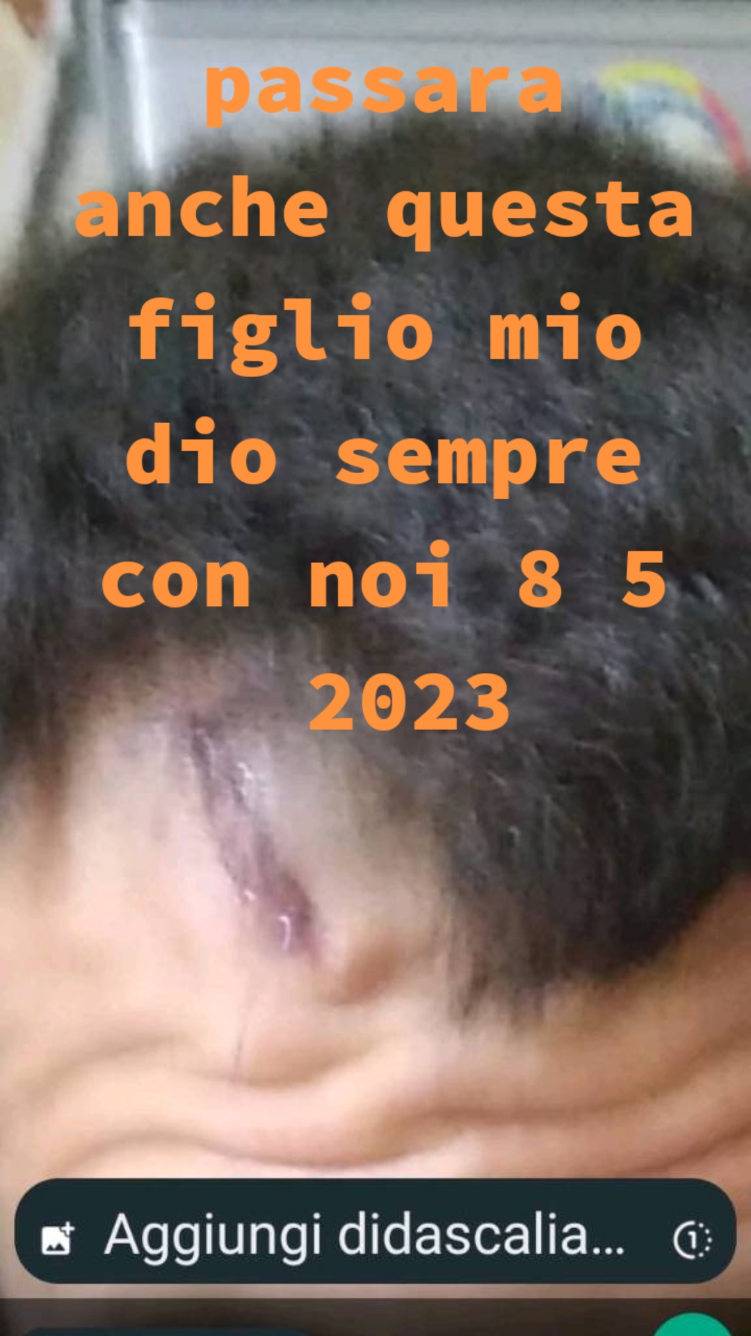 @Salvativana Minitori