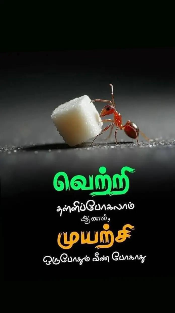 @Raja