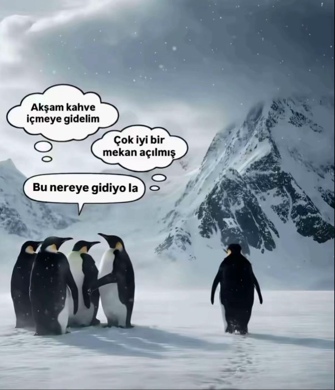 @ᴀʟɪ̇ ᴄ̧ᴇʟɪ̇ᴋ