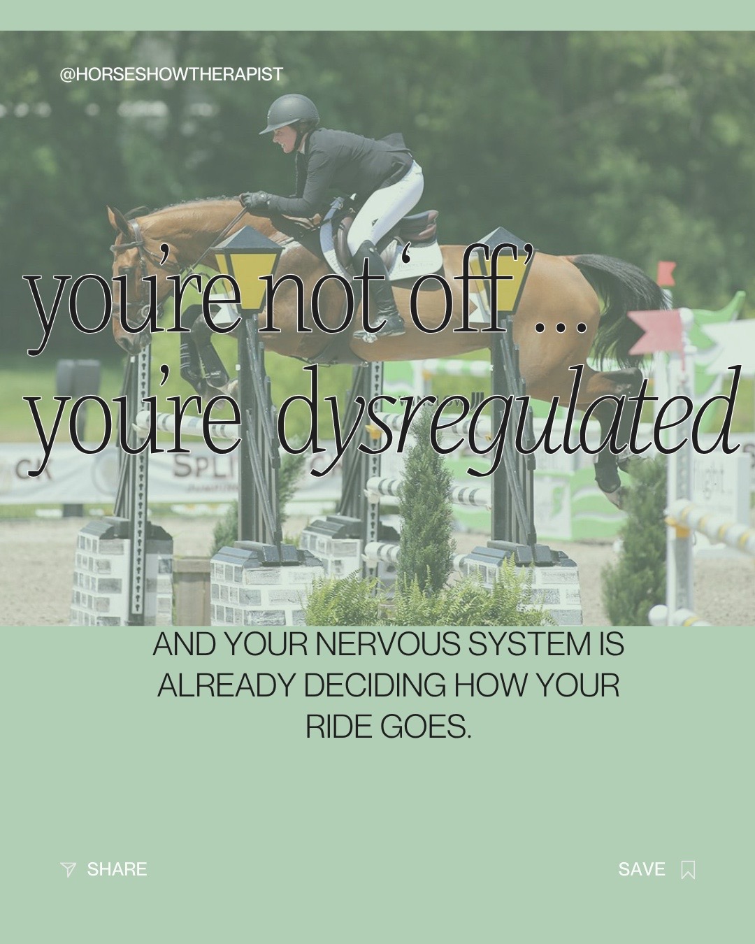 @Dr. J | Horse Show Therapist