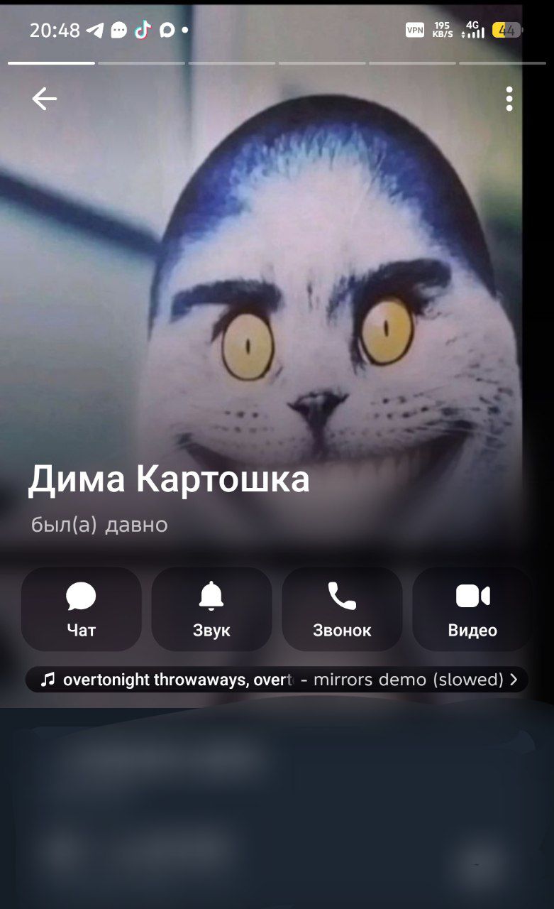 @Kodelinova❤️🖕