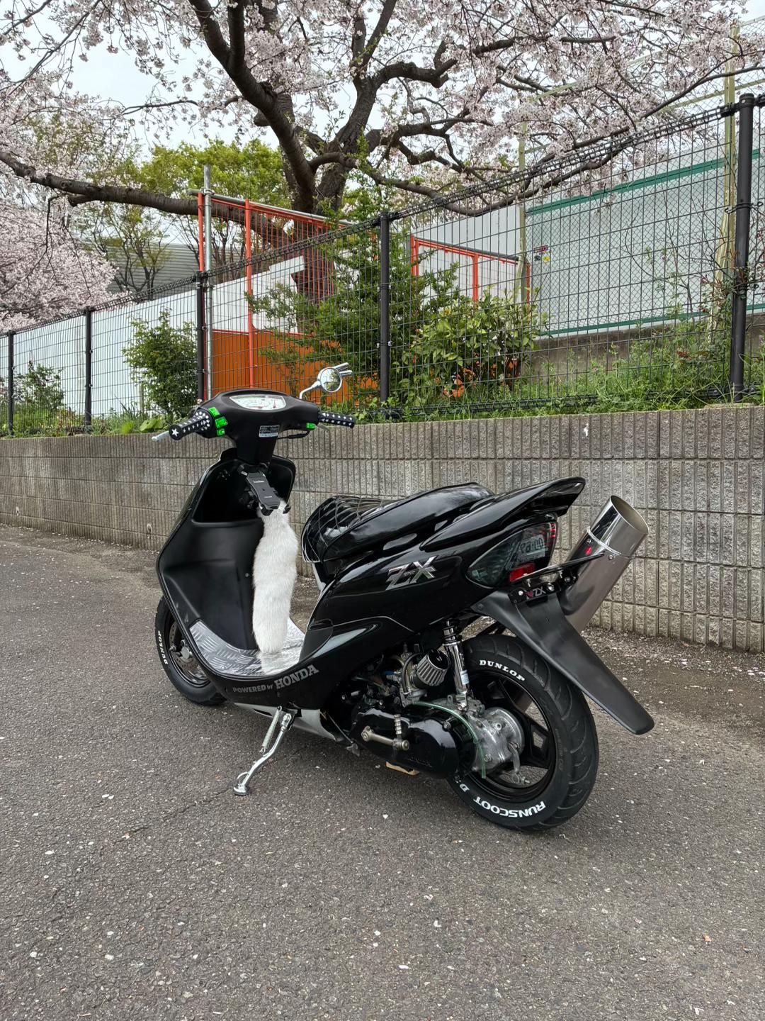 @しょーた