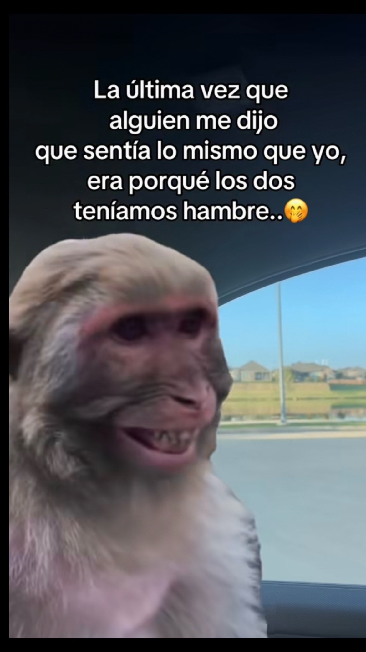 @Pedro Cruz