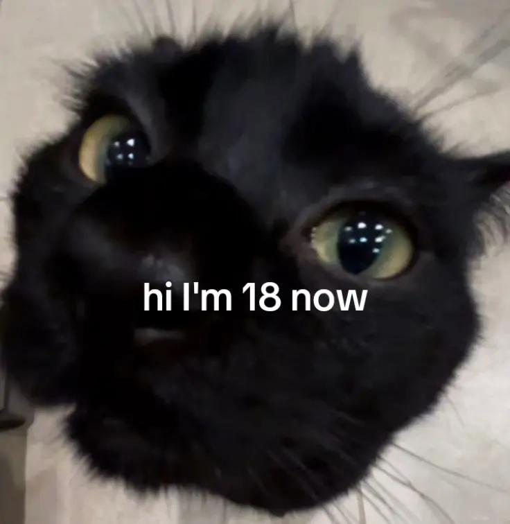 @cheertil