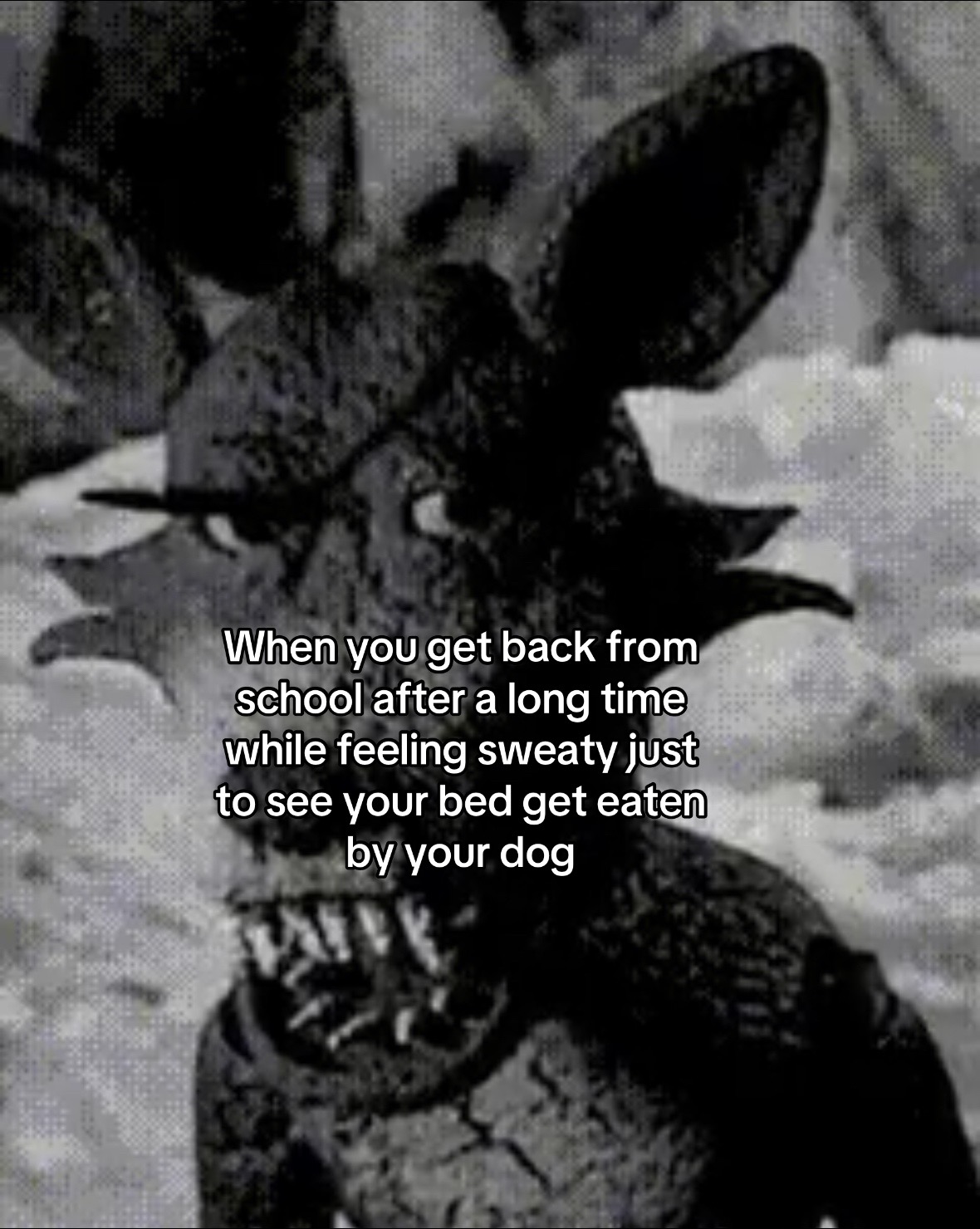 @Gwa