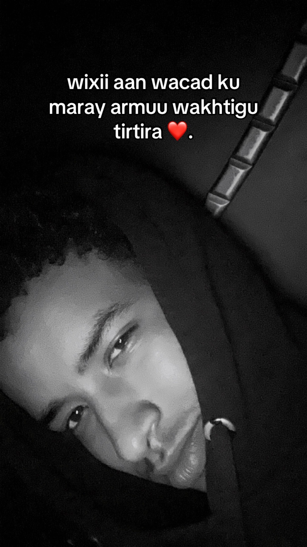 @Thamm🦇