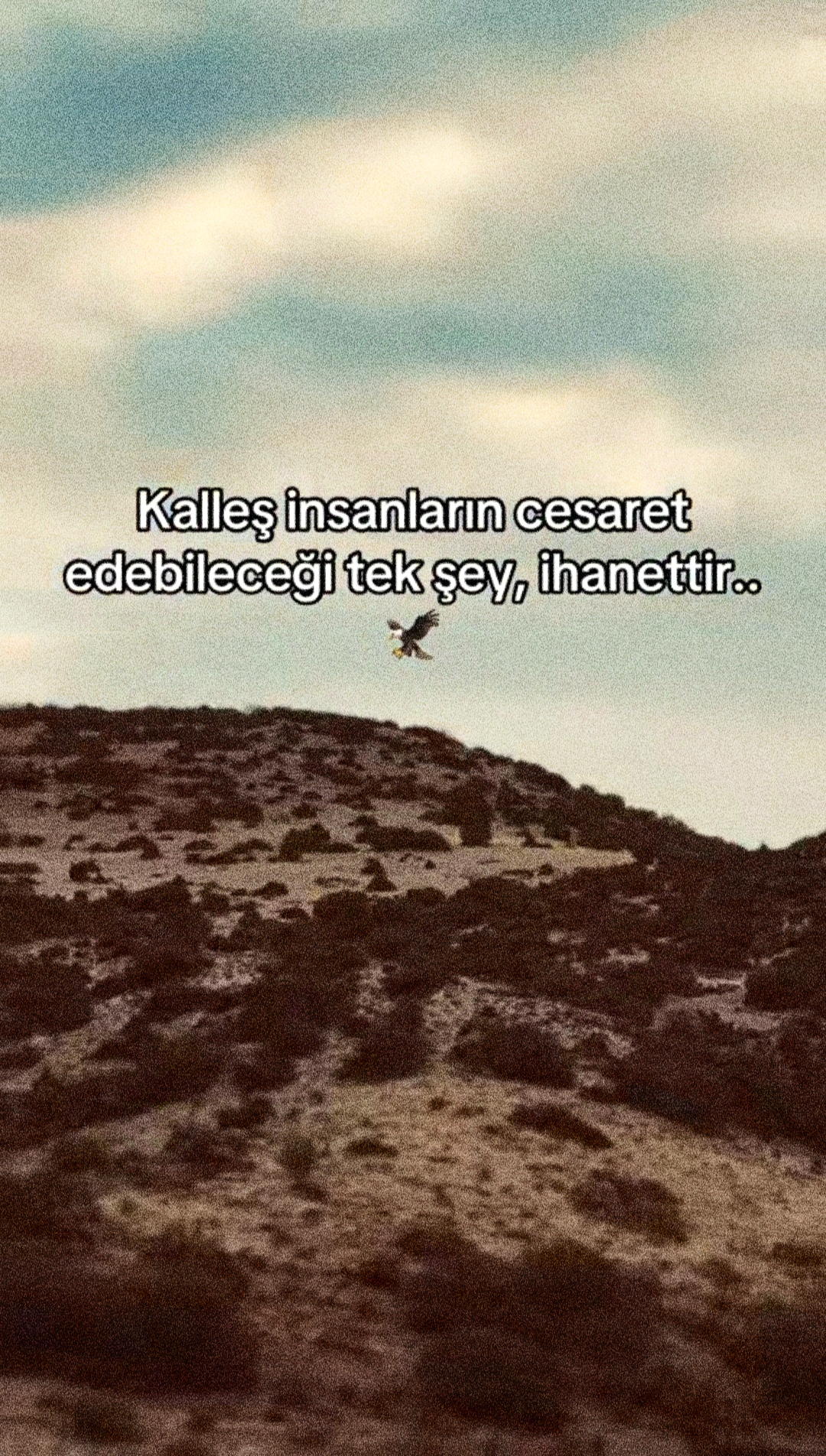 @💦S K💦