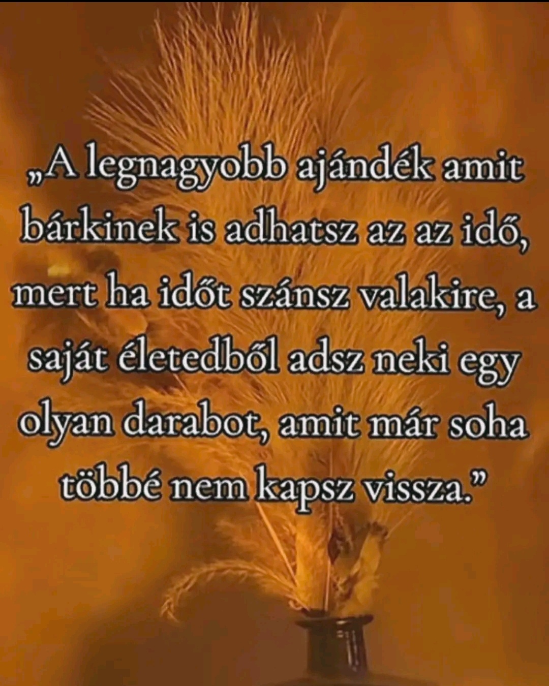 @Meнди