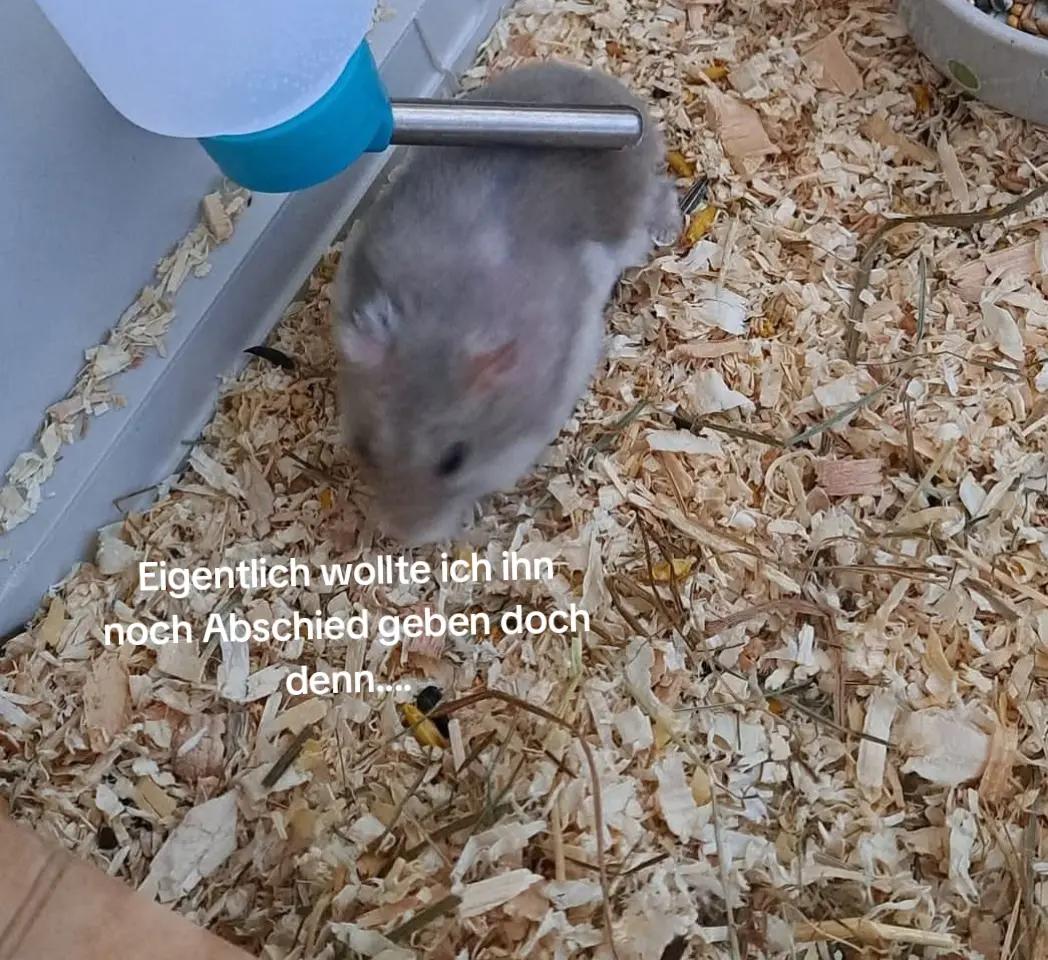 @𝐌✝