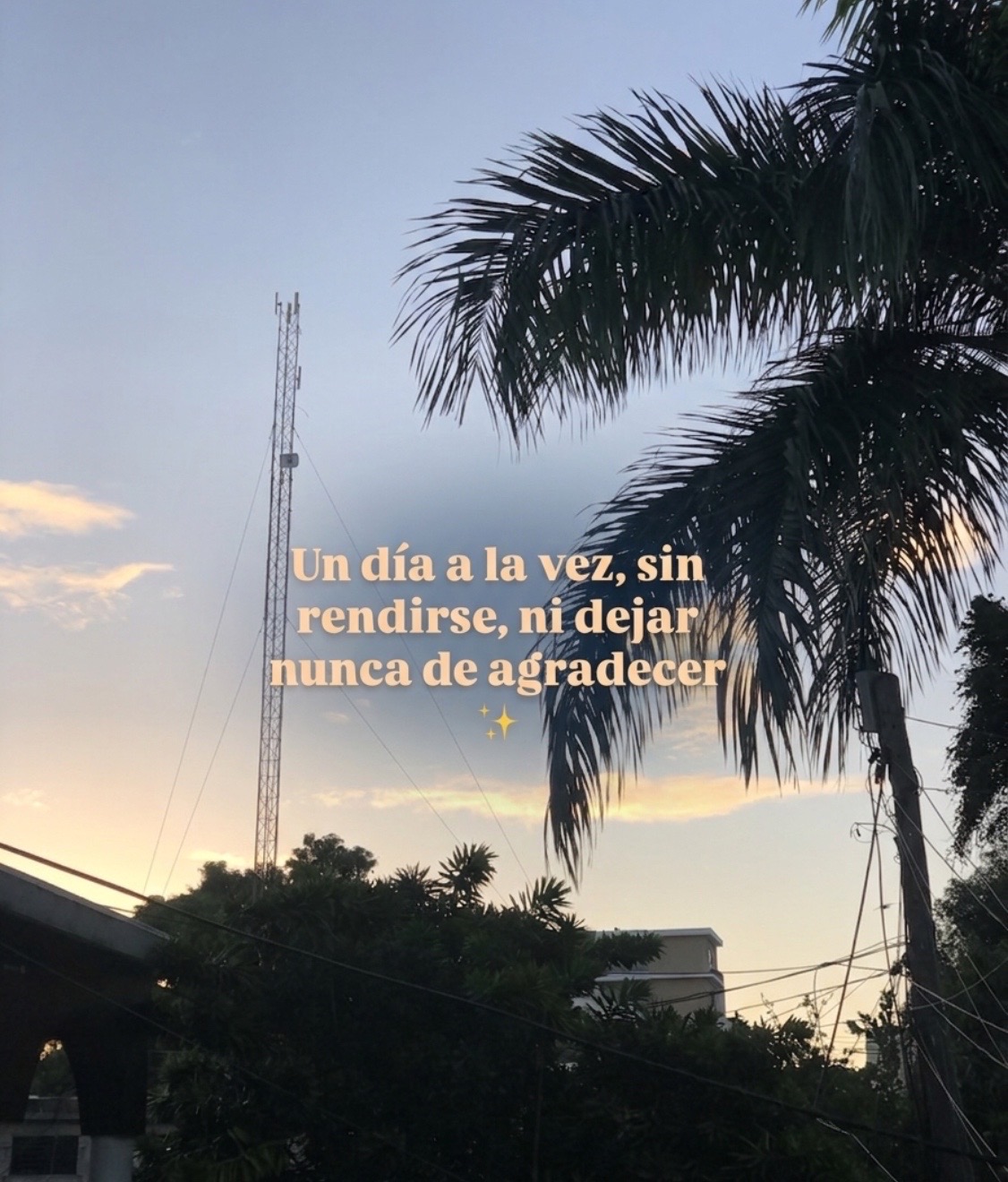 @Filo