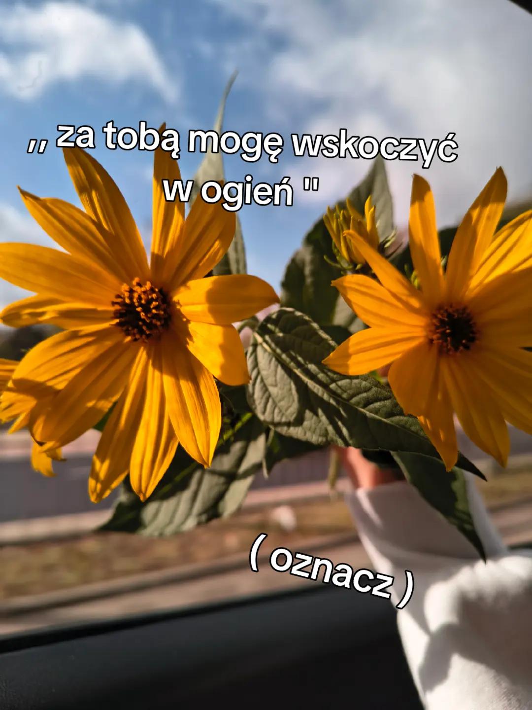 @Julia Kowalska