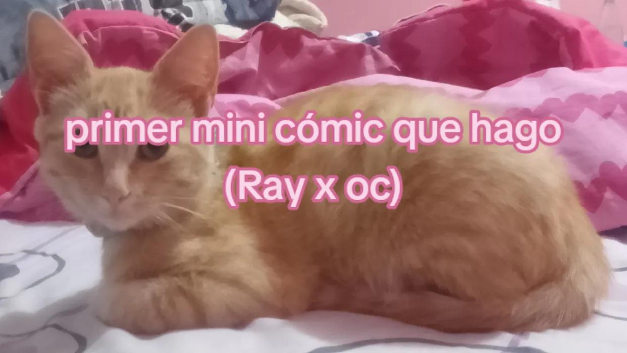 @⣴ 𝗙͟ꭗ̲͟ꪎ̲͟𝗄ıɳ𝗀  𝗦ƚ✰ɾ  ᩠  ⊹